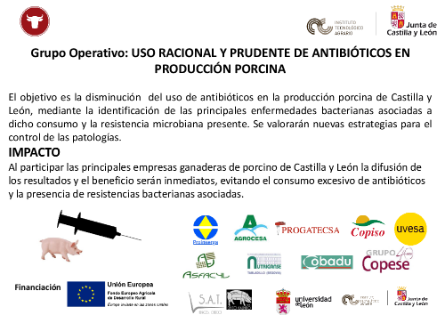 Grupo Operativo: USO RACIONAL Y PRUDENTE DE ANTIBIÓTICOS EN PRODUCCIÓN PORCINA